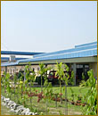 Nay Win Swe Co., Ltd.